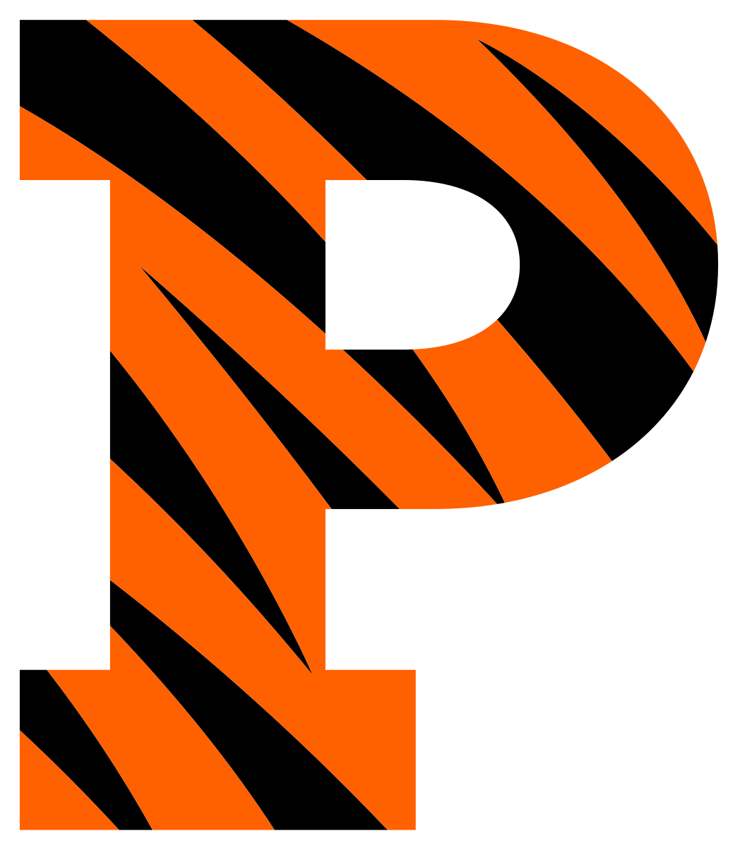 Logo P